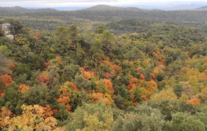L'automne en Provence