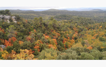 L'automne en Provence